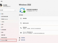 windows11怎么关闭自动更新？如何彻底关闭win11自动更新