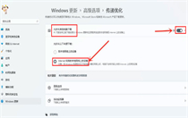 windows11如何打开传递优化功能 windows11打开传递优化功能方法介绍 