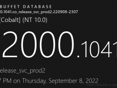 微软Windows 11 Build 22000.1041(KB5017383)RP预览版发布！