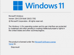 Windows 11 build 22623.730/22621.730 beta预览版推送了！